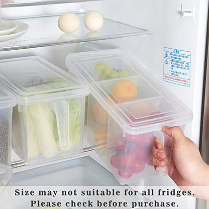 2 Pack Plastic Divided Veggie Storage Containers with Lids and Handles for Fridge Storage Organizer Boxes for Refrigerator Produce Beans Fruits Organzation - style: 2Pack with 6 dividers