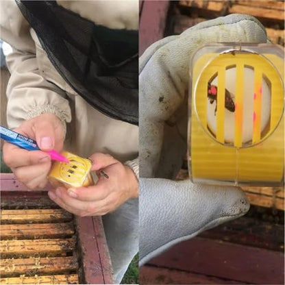 6pcs Bee Queen Marking Catcher Plastic One Handed Marker Bottle Plunger Plush Beekeeper Tool Garden | Bee mark bottle - color: Bee mark bottle