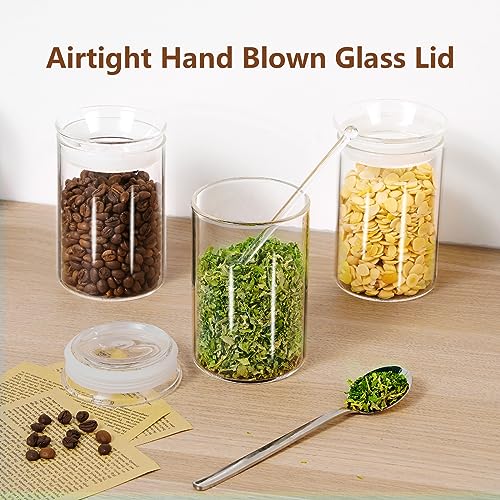 ZENS 15oz Glass Food Storage Jars Set of 3, Clear Glass Canisters with Airtight Lids, Small Container Spice Jars for Kitchen Herbs, Sugar, Blooming Tea, Candy - size: 4-15oz 3Pack