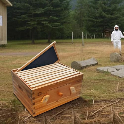 10-Frame Deep Brood Box, Langstroth Cedar Beehive with Observation Window, Beeswax-Coated Frames & Foundations for Beekeeping, Dovetail Joint Assembly