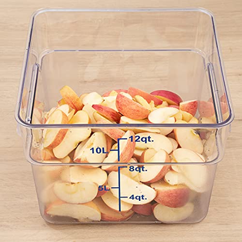 Restaurantware Met Lux 12 Quart Brine Buckets 10 Square Marinating Containers - With Volume Markers Built-In Handles Clear And Blue Plastic Dough Rising Buckets Freezer-Safe Lids Sold Separately - size: 12 Quarts, style: 10 Count
