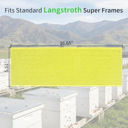 20 Pack Beehive Waxed Coated Foundation Sheet, 5-5/8-inch Plastic Honeycombs Bee Wax Nest Foundation Beekeeping Beehive Equipment Medium Super Hive Frame Sheets, Green - size: 20pcs for 5-5/8-inch
