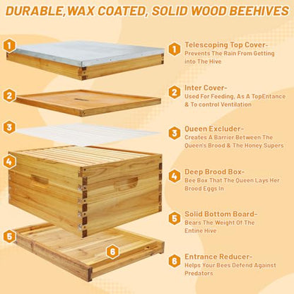 10-Frame Bee Hives and Supplies Starter Kit, Beehive Kit Dipped in 100% Beeswax, Bee Keeping Supplies-All Beginners Kit Includes Beekeeping Supplies Tool Set and Bee Suit - size: 10 Frames 1 Layer