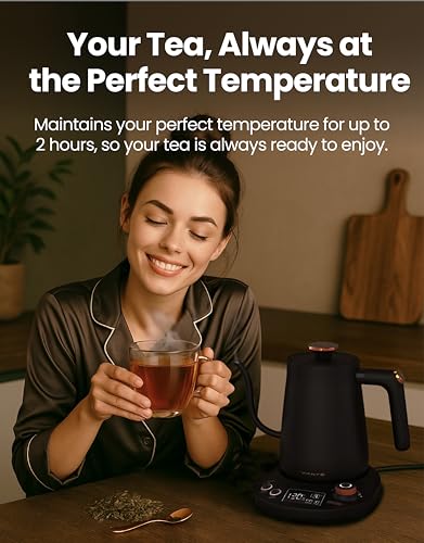 Viante Electric Gooseneck Kettle 0.8L, Pour Over Coffee & Tea, Temp Control | Boil-dry protection, keep-warm function, BPA-free stainless steel body. Includes #2 coffee filters - style: Gooseneck