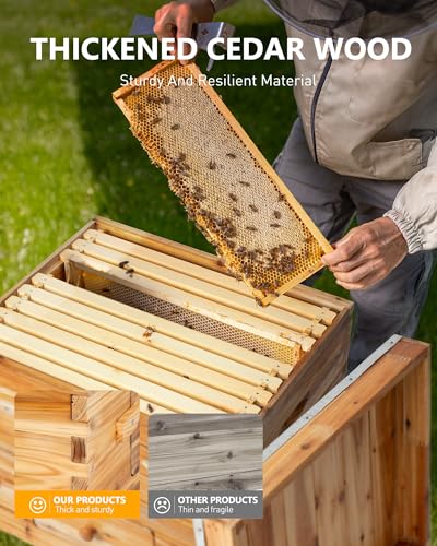 10-Frame Langstroth Medium Super Bee Hive Box with Frames | Medium honey super with 10 frames, foundation, beeswax-coated cedar box, and observation window for hive expansion - size: Medium Bee Box