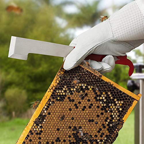 Honey Keeper 2-Pack Stainless Steel J Hook Bee Hive Tool, 10-1/2 inch Frame Lifter and Scraper, Beekeeping Equipment