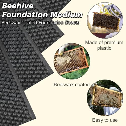 BeeCastle 10pcs Black Beehive Frame Beeswax Coated Foundation Sheet,Waxed Foundation Sheets, 5-5/8-Inch Medium Foundation for Beehive Medium Frames - color: Black, size: 5-5/8-Inch