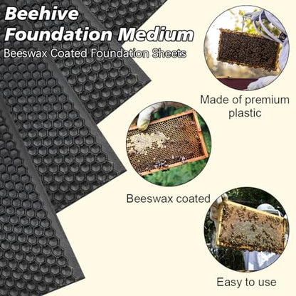 BeeCastle 10pcs Black Beehive Frame Beeswax Coated Foundation Sheet,Waxed Foundation Sheets, 5-5/8-Inch Medium Foundation for Beehive Medium Frames - color: Black, size: 5-5/8-Inch