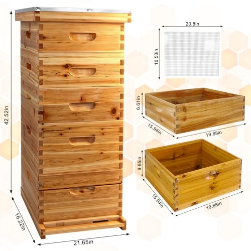 Coated Bee Hive Starter Kit, 5-Layer Langstroth Beehive & 2 Deep and 3 Medium Super Boxes, Premium 10-Frame Wood Honey Bee House with Waterproof Metal Top Cover & Queen Excluder, No Frames