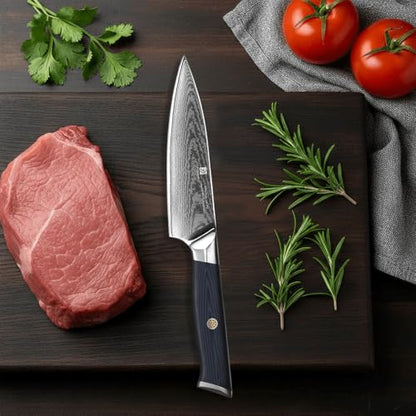Utility Knife,5.5inch Damascus knife,67-Layer High Carbon Stainless Steel Kitchen Knife,Professiona Sharp Cutting Knives with Ergonomic Blue G10 Handle,Gift Box for Home and Kitchen Birthday Gift - style: 13C pro Utility Knife(Blue Black)