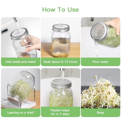 Seed Sprouting Jar Kit - 2 Wide Mouth Mason Jars with 316 Stainless Steel Sprouting Lids Covers, Drip Tray and Stand for Growing Broccoli Alfalfa Beans Sprout (Two Jars)