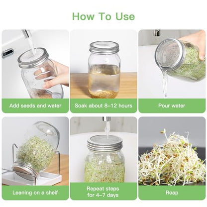 Seed Sprouting Jar Kit - 2 Wide Mouth Mason Jars with 316 Stainless Steel Sprouting Lids Covers, Drip Tray and Stand for Growing Broccoli Alfalfa Beans Sprout (Two Jars)