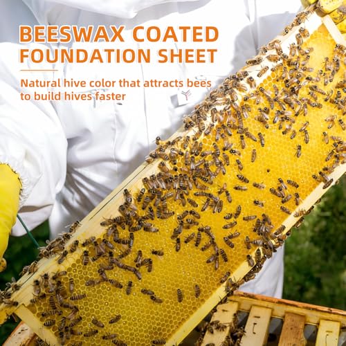 Beehive Wax Coated Foundation Sheet,8-1/2-Inch Deep Beeswax Foundation Sheets,10 Pcs Plastic Bee Hive Foundation Sheet,Beehive Foundation Sheet Fit Deep Frame for Beekeeping - color: 10pcs-Deep