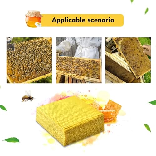 Beekeeping Tools, 30 Honeycomb Beeswax Foundat Sheets, Beehive Wax Fe Bottom Paper, Beekeeping Tools