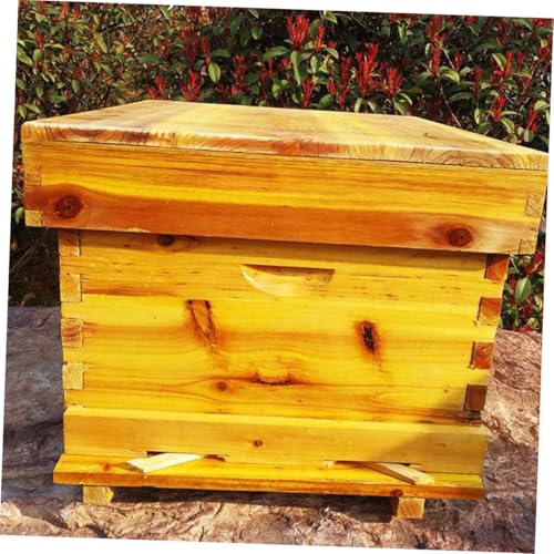 Beekeeping Hive Box with Partition Board and Mesh Cover, Cedar Wood Bee Hive for Outdoor Home Beekeeping, Wax-Boiled Langstroth Beehive Kit for Professional Apiaries
