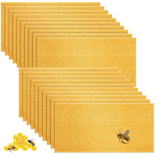 20 Pcs Beehive Waxed Coated Wax Foundation for Bee Frames Plastic Portable Honeycomb Sheet Beeswax Coated Foundation Sheet Beehive Equipment Fit Deep Frame (Yellow) - color: Yellow