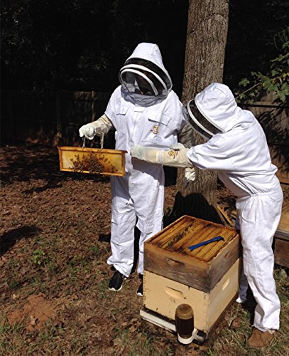 Beekeeping Gloves Large Ventilated Sleeves - Elastic Sting Proof Gauntlet Cuffs ★ Genuine Cow Leather ★ Long Thick Sleeves ★ Apiary Vented Bee Gloves Ideal for Professional or Beginning Beekeeper - size: Large