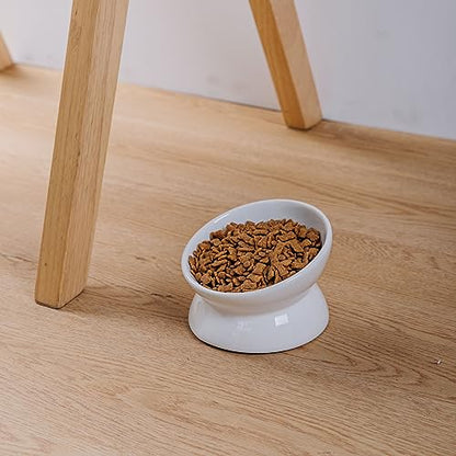 Elevated Ceramic Cat Bowl, 15° Tilted Raised Food & Water Dishes, Anti-Vomiting & Neck Protection Pet Feeder for Kittens, Small Dogs (5.2", White, 2pc Set) - color: White, size: 5Inch-2pc