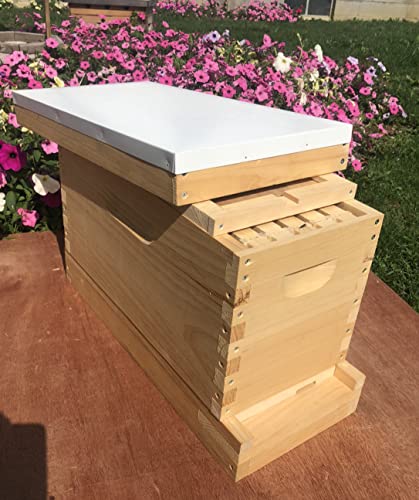 5 Frame Deep 9 5/8 Nuc Complete Bee Hive with Frames & Foundations (Un-Assembled) (Solid Bottom)