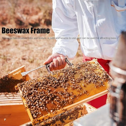 Beehive Wax Foundation Sheets, 30Pcs Bee Comb Honey Frame for Beekeeping, Honeycomb Beeswax Sheets for Candles Making and Furniture Polishing