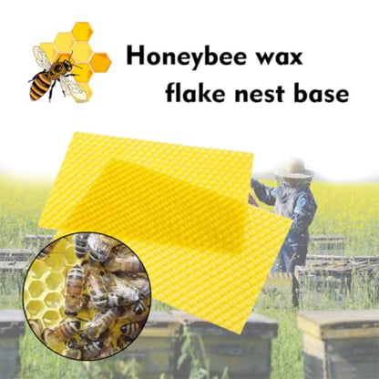 10pcs Natural Beeswax Beehive Foundation Sheets for Beekeeping Operation, Honeycomb Foundation Beeswax Helping to Lay Eggs Faster and Support Hive Growth