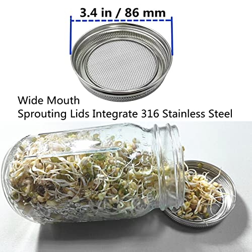 Sprouting Jar Lids WIDE MOUTH Mason Jar Strainer Lid 4 Pack Stainless Steel Strainer Mesh Sprouts Lids for Seed Sprouting Salad Sprouts Broccoli Sprouts Growing Kit