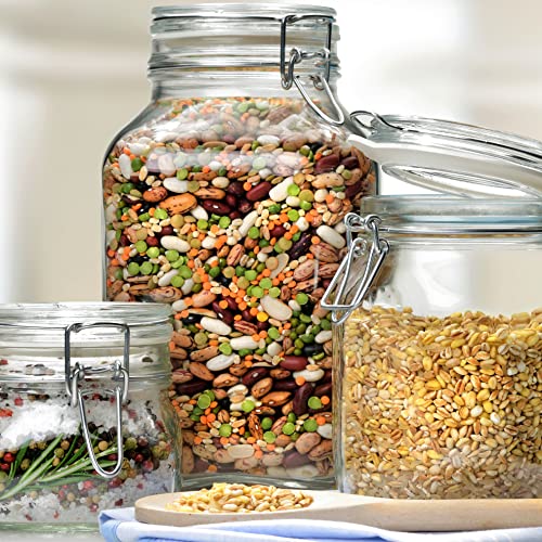 Bormioli Rocco Fido, 2 Pack, 33.75 Oz. Food Storage Glass Jars, Airtight Rubber Seal & Glass Lid, with Stainless Wire Clamp, Mason Jar, Made in Italy - size: 33.75 oz