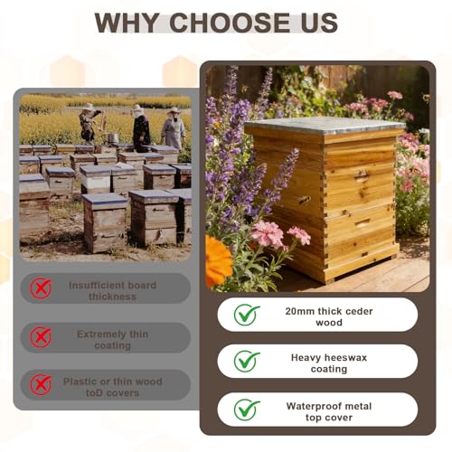 Beeswax Coated Bee Hive Starter Kit - 3 Layer Langstroth Beehive with 2 Deep & 1 Medium Super Boxes - Premium Wood Honey Bee House, Metal Top Cover & Queen Excluder (No Frames)
