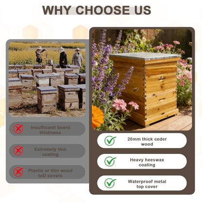 Beeswax Coated Bee Hive Starter Kit - 3 Layer Langstroth Beehive with 2 Deep & 1 Medium Super Boxes - Premium Wood Honey Bee House, Metal Top Cover & Queen Excluder (No Frames)