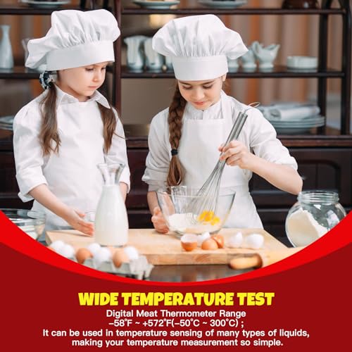 Copkim 12 Pcs Meat Food Thermometer Food with Probe Water Liquid Instant Read Digital Thermometer Kitchen Cooking Supplies for Cooking BBQ Milk Yogurt (Black) - color: Black