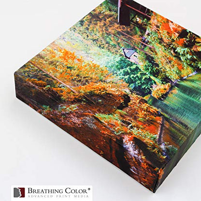 Kiln-Dried, EasyWrappe Pro 1.75" - 16", 6pk DIY Gallery Wrap System with Easy Assembly and Uncomplicated Canvas Stretching Setup Create Artwork in Minutes That Rivals Professional Gallery Wraps - size: 16" - 6 Pack