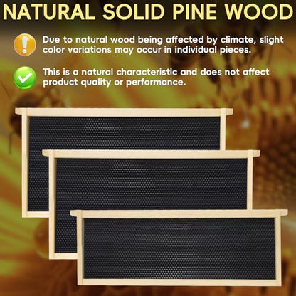 Langstroth 10 Frame Beehive Beeswax Coated, Complete Bee Hive Boxes Starter Kit Includes 2 Deep Hive Boxes and 1 Super Hive Box with Bee Frames and Foundations - size: 3-Layer