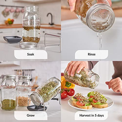 2 Pack Seed Sprouting Jar Lids | For 3.38" Wide Mouth Mason Jars | Fresh Sprouts at Home | Strainer Screen for Canning Jars | 304 Stainless Steel Lid for Growing Broccoli, Alfalfa, Beans & More - size: 2-Pack Wide Mouth