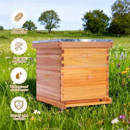 POLLIBEE 10 Frame Bee Hive,Beeswax Coated Beehive Kit for Bee Keeper,Complete Beehive Include 1 Deep Brood Bee Box and 1 Medium Bee Hive Box with Frames and Foundations - size: 2-Layer