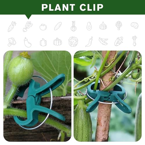 A Plant Clamp Used for Climbing Plants,Horticultural Clip Used to Support Climbing of Flower Stems, Vines, Vegetables, and Tomatoes,Vine Clip for Garden Vine Training (Green, 120small) - size: 120 Small