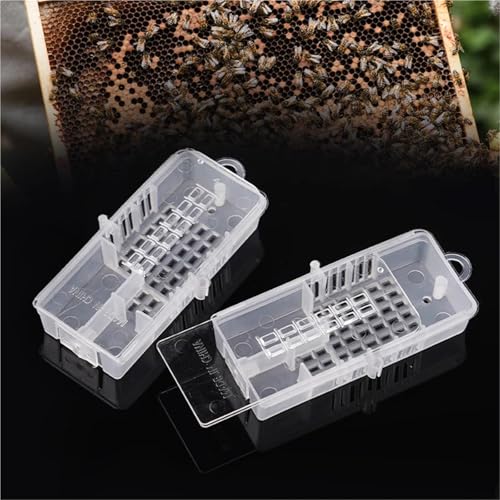Queen Bee Cage 30pcs Bee Tools King Transparent Cage Transport Queen Rearing Cell Prisoner Beekeeping Supplies for Beekeeping Supplies
