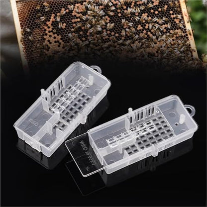Queen Bee Cage 30pcs Bee Tools King Transparent Cage Transport Queen Rearing Cell Prisoner Beekeeping Supplies for Beekeeping Supplies