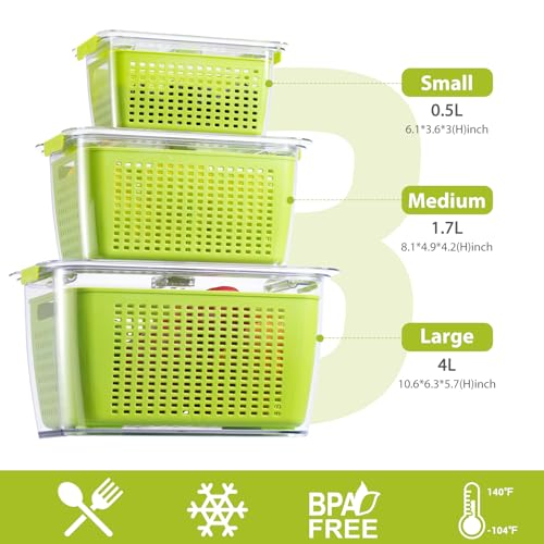 LUXEAR Fresh Container, 3PACK Produce Saver Container BPA Free Fridge Organizer for Vegetable Fruit and Salad Partitioned Food Storage Container with Vents Stay Fresh Containers Not Dishwashers Safe - color: Green