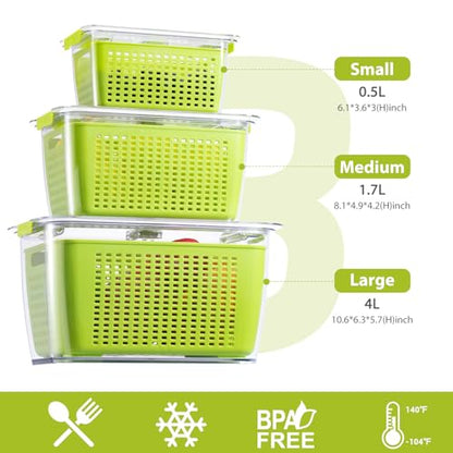 LUXEAR Fresh Container, 3PACK Produce Saver Container BPA Free Fridge Organizer for Vegetable Fruit and Salad Partitioned Food Storage Container with Vents Stay Fresh Containers Not Dishwashers Safe - color: Green