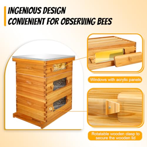 Honey Lake Bee Hive with Windows, 10 Frame Langstroth Complete Beehive Starter Kit Dipped in Beeswax with Beehive Frames and Waxed Foundations (2 Deep Brood Bee Hive Box & 1 Medium Super Bee Box) - size: 3 Layers