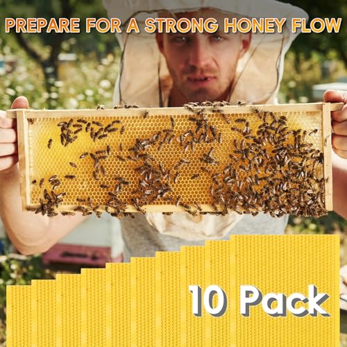 10PCS Food-Grade Plastic Bee Frame Medium Foundation Sheets, Natural Beeswax Coated Bee Hive Foundation for Medium Super Frames (Yellow) - color: Yellow, size: 10PCS