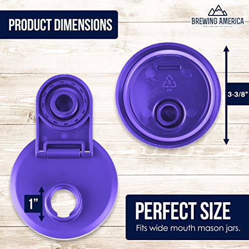 Brewing America Glass Mason Jar Pitcher with Lid - Mason Jars, 1 Quart (32 oz) with Violet Purple Wide Mouth Pour Lid, for Smoothie, Boba Cup, Sun Tea, Cold Coffee Glass Tumbler, 2-Pack - color: Violet Purple