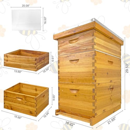 10 Frame Langstroth Beehive Kit - Beeswax Coated 3-Layer Bee Hive (2 Deep Brood + 1 Medium Super) Professional Wood Box, Frames NOT Included