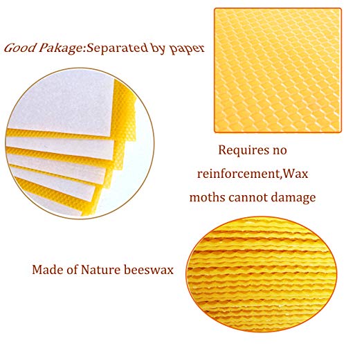 ZffXH 30 Pack Beeswax Sheets Bee Hive Frames and Wax Foundations Sheets Beeswax for Bee Hive Frames Natural Beeswax Honeycomb Sheets for Beekeeping Candle Making