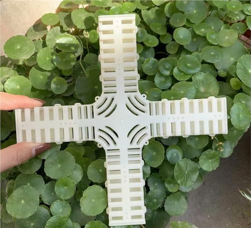 Queen Bee Cage 10pcs King Cage Lengthened Enlarged Bee Prison Queen Plastic Crown Prince Equipment for Beekeeping Supplies