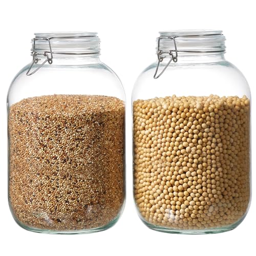 1 Gallon Glass Food Storage Jars with Airtight Lids, Set of 2 – Clear Preserving Seal Wire Clip Fastening Canisters for Kitchen Canning, Flour, Cereal, Pasta, Sugar, Beans, Pickling Jars (1gallon*2) - size: 1gallon*2