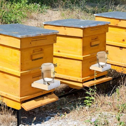Colingmill 4 Pcs Light Wood Feeder for Hive Front Beehive Entrance Feeders Bee Watering Station Feeding Equipment Beekeeper Drinking Tool Beekeeping Equipment for Feeding Water or Sugar Syrup