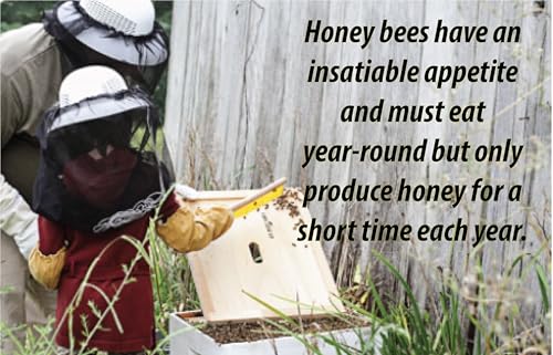 HomeBrewStuff Basic 1 Gallon Hopped Honey Mead Recipe Refill Kit