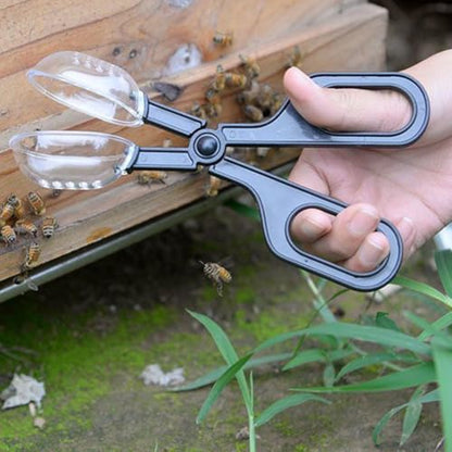 2Pcs Plastic Scissor Design Queen Bee Cage Catcher Clips Transparent Queen Bee Marking Catcher Clips Bee Cage Marker Beekeeping Tools for Beekeepers