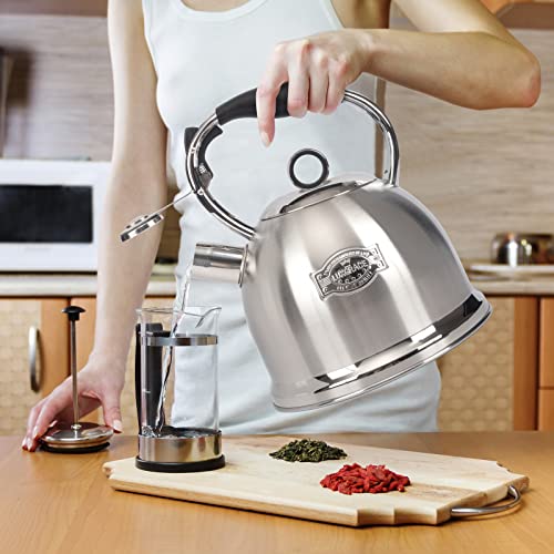 Tea Kettle for Stovetop, Food Grade Stainless Steel Water Kettle, Tea Pot for Home & Kitchen, 3.0 Qt - color: Silver